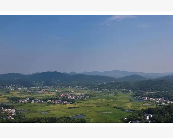 儿童脾胃不好会导致耳鸣吗？