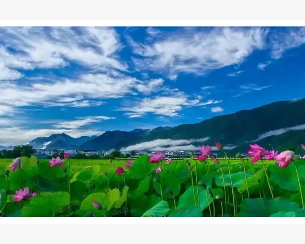 B2B采购术语新手入门必知必会