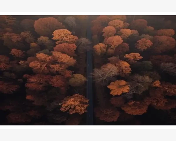 行政单位会计等式入门与记账逻辑解析
